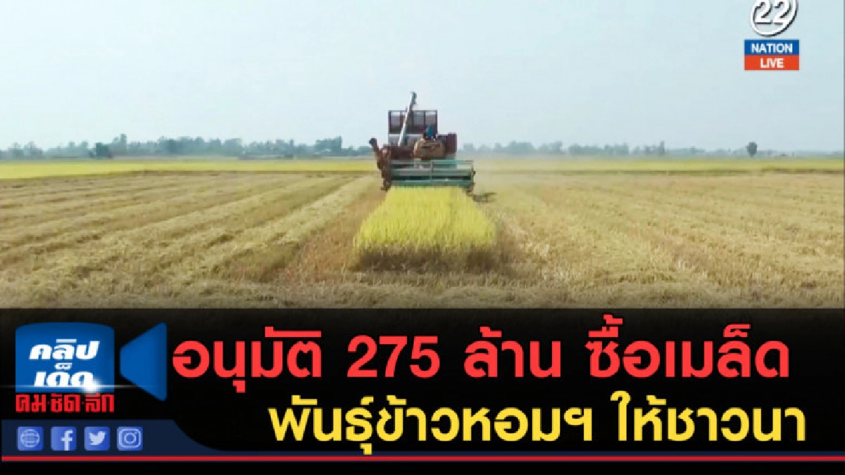 (คลิปข่าว) ครม.อนุมัติ 275 ล้าน ซื้อเมล็ดพันธุ์ข้าวหอมฯ (คลิปข่าว) ครม.อนุมัติ 275 ล้าน ซื้อเมล็ดพันธุ์ข้าวหอมฯ