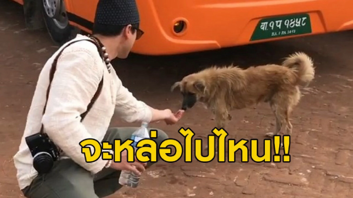 'แม่แก้ว' โพสต์คลิป 'ณเดชน์' เทน้ำใส่มือให้สนุขจรจัดกิน 'แม่แก้ว' โพสต์คลิป 'ณเดชน์' เทน้ำใส่มือให้สนุขจรจัดกิน