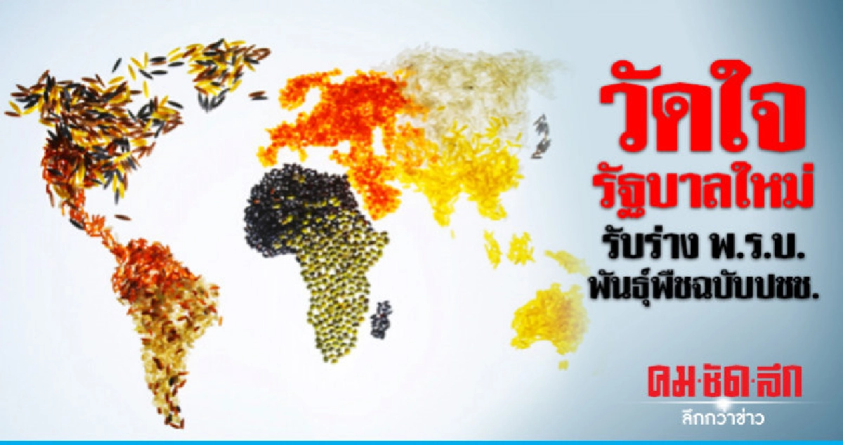 วัดใจรัฐบาลใหม่รับร่างพ.ร.บ.พันธุ์พืชฉบับปชช.