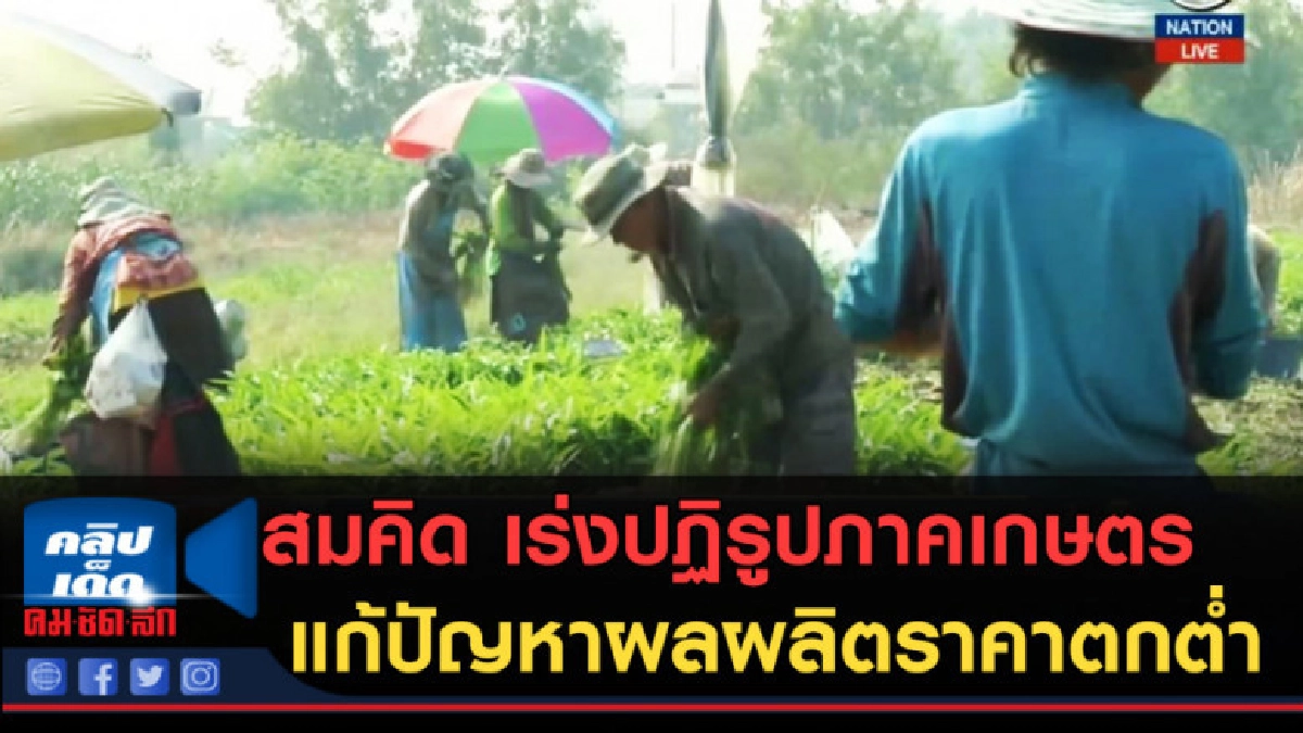 (คลิปข่าว) สมคิด เร่งปฏิรูปภาคเกษตร แก้ปัญหาผลผลิตราคาตกต่ำ (คลิปข่าว) สมคิด เร่งปฏิรูปภาคเกษตร แก้ปัญหาผลผลิตราคาตกต่ำ