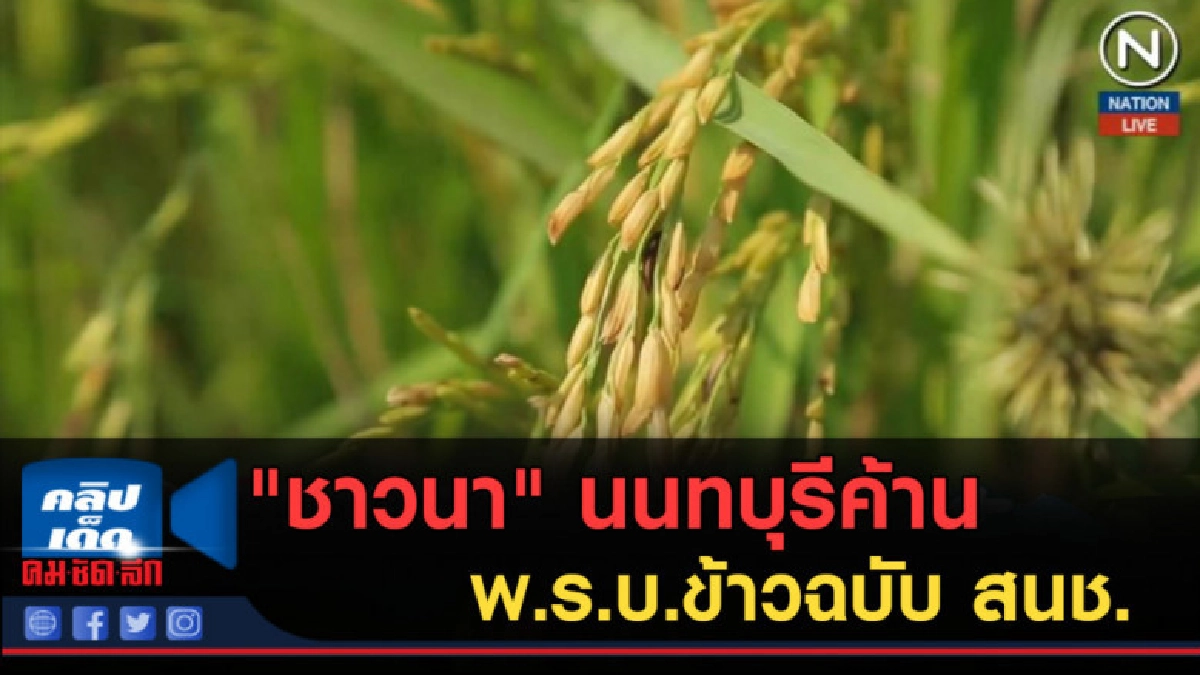 (คลิปข่าว) "ชาวนา" นนทบุรีค้าน พ.ร.บ.ข้าวฉบับ สนช. (คลิปข่าว) "ชาวนา" นนทบุรีค้าน พ.ร.บ.ข้าวฉบับ สนช.