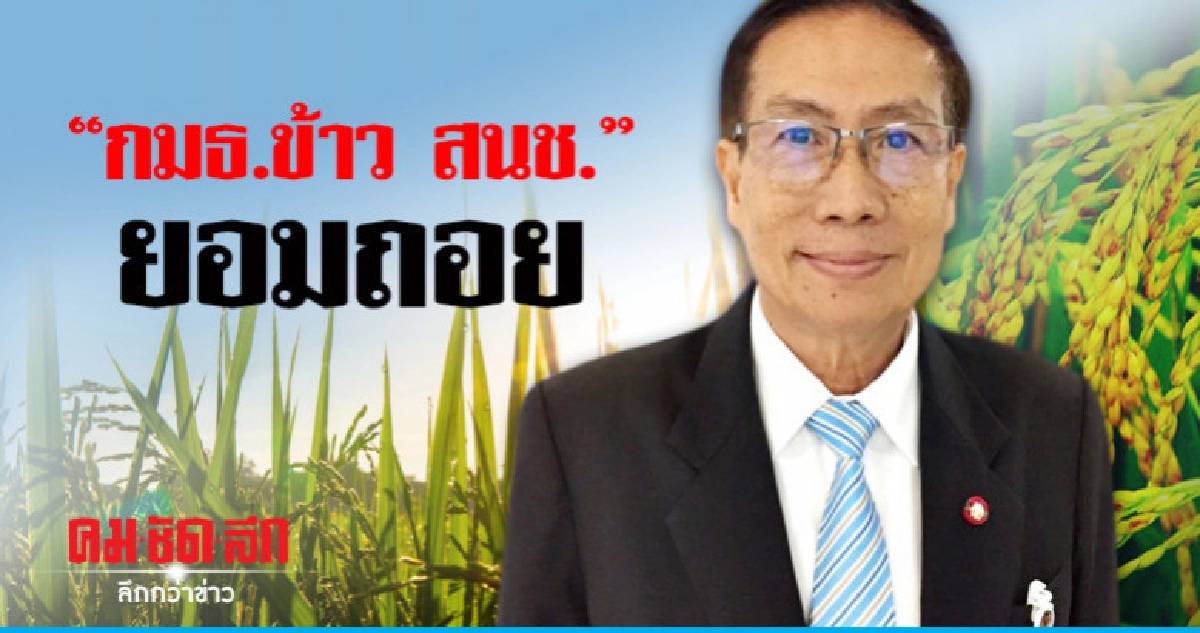 "กมธ.ข้าว สนช." ยอมถอยร่างกฎหมายไปทบทวน "กมธ.ข้าว สนช." ยอมถอยร่างกฎหมายไปทบทวน