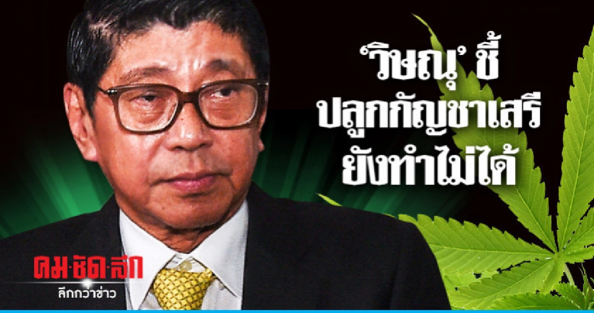 "วิษณุ"ชี้ พรรคการเมืองขายฝัน-ปลูกกัญชาเสรี ยังทำไม่ได้