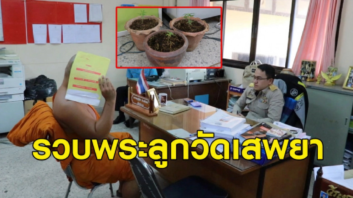 จับพระลูกวัดคากุฏิเสพยา - ปลูกกัญชา บอกเบื่อๆ เซ็งๆ