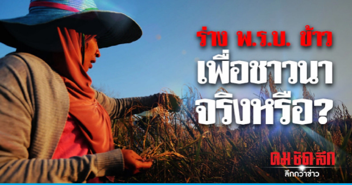 ร่างพ.ร.บ.ข้าว:เพื่อชาวนาจริงหรือ?