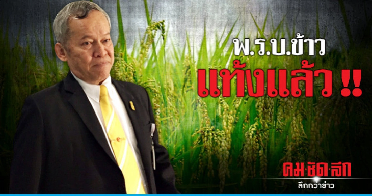 พ.ร.บ.ข้าว เลื่อนพิจารณาไม่มีกำหนด พ.ร.บ.ข้าว เลื่อนพิจารณาไม่มีกำหนด