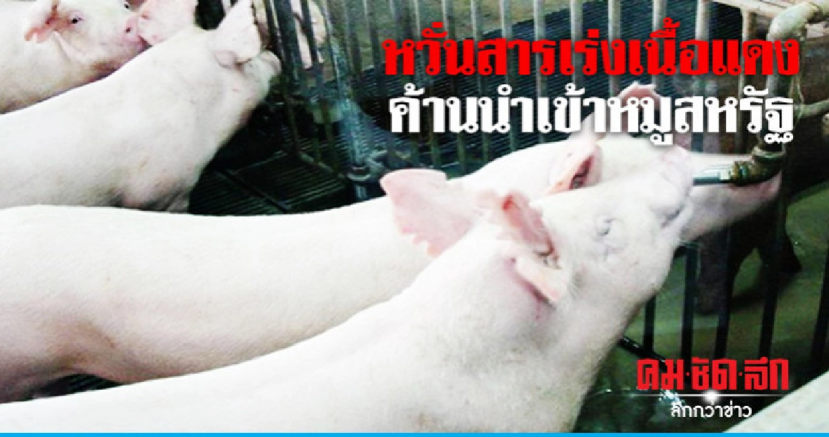 หวั่นสารเร่งเนื้อแดงค้านนำเข้าหมูสหรัฐ