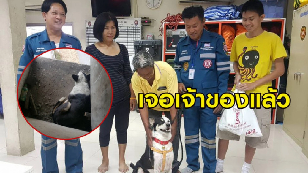 หมาติดตอม่อทางด่วน สุดดีใจได้เจอเจ้าของ เผยชื่อเจ้าลีโอ หมาติดตอม่อทางด่วน สุดดีใจได้เจอเจ้าของ เผยชื่อเจ้าลีโอ