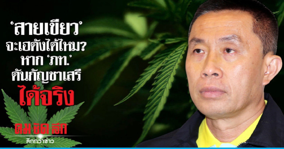 "สายเขียว"จะเฮดังได้ไหม?หาก"ภท."ดันกัญชาเสรีได้จริง