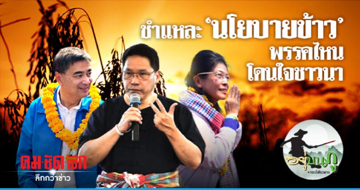 ชำแหละ "นโยบายข้าว" พรรคไหนโดนใจชาวนา