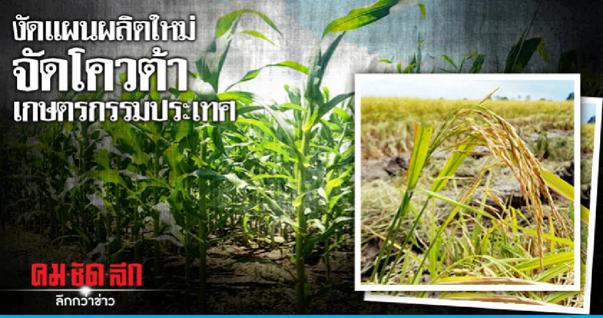 "กฤษฏา"งัดแผนผลิตใหม่จัดโควต้าเกษตรกรรมประเทศ "กฤษฏา"งัดแผนผลิตใหม่จัดโควต้าเกษตรกรรมประเทศ