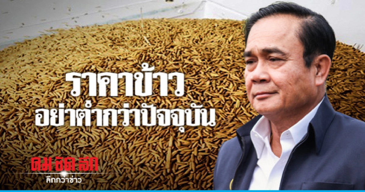 "นายกฯ"กำชับดูแลราคาข้าวอย่าต่ำกว่าปัจจุบัน  