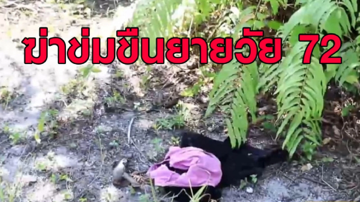(คลิปข่าว) สุดโหด ฆ่าข่มขืนยายวัย 72 กลางสวนปาล์ม