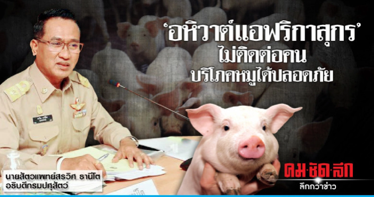 "อหิวาต์แอฟริกาสุกร"ไม่ติดต่อคนบริโภคหมูได้ปลอดภัย