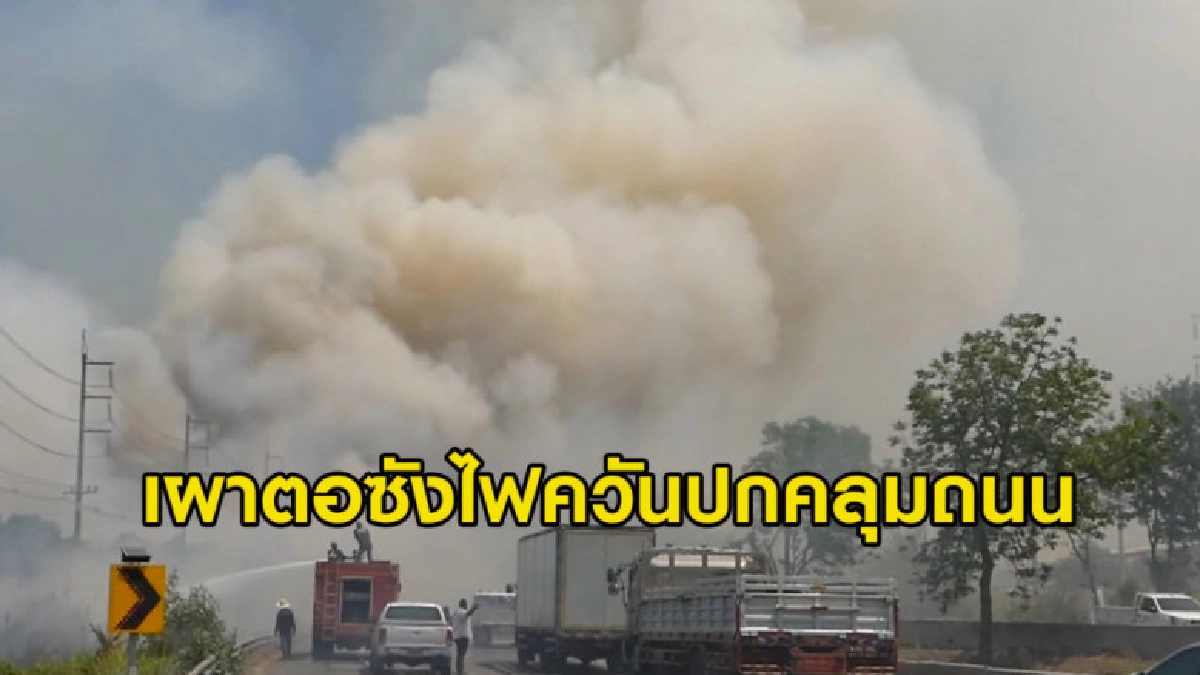 (คลิปข่าว) เผาตอซังไฟควันปกคลุมถนนรถติดยาว 5 กม. (คลิปข่าว) เผาตอซังไฟควันปกคลุมถนนรถติดยาว 5 กม.