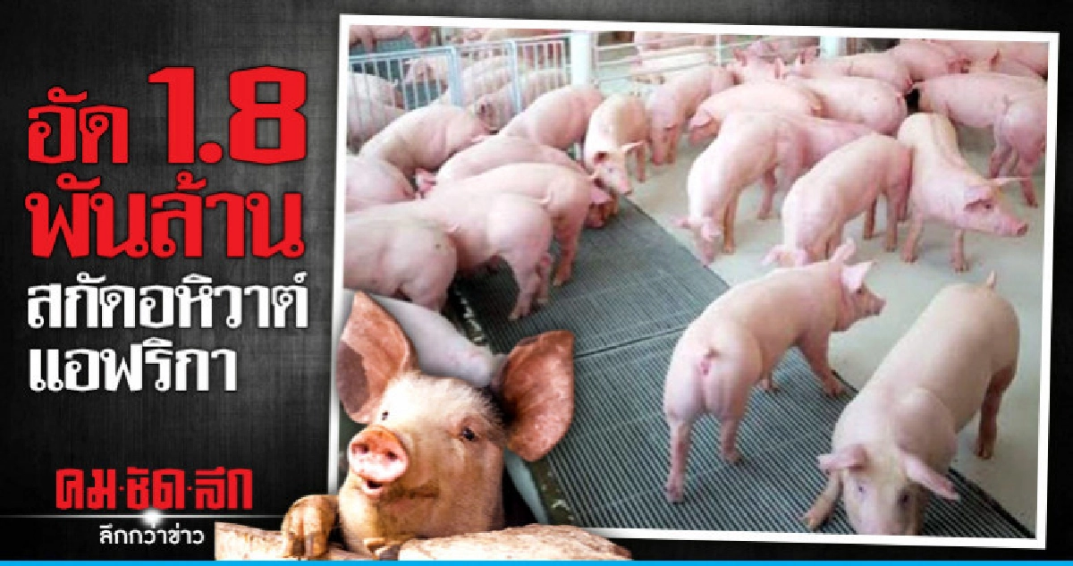 "กฤษฏา"ชงครม.1.8 พันล้านสกัดโรคระบาดอหิวาต์ "กฤษฏา"ชงครม.1.8 พันล้านสกัดโรคระบาดอหิวาต์