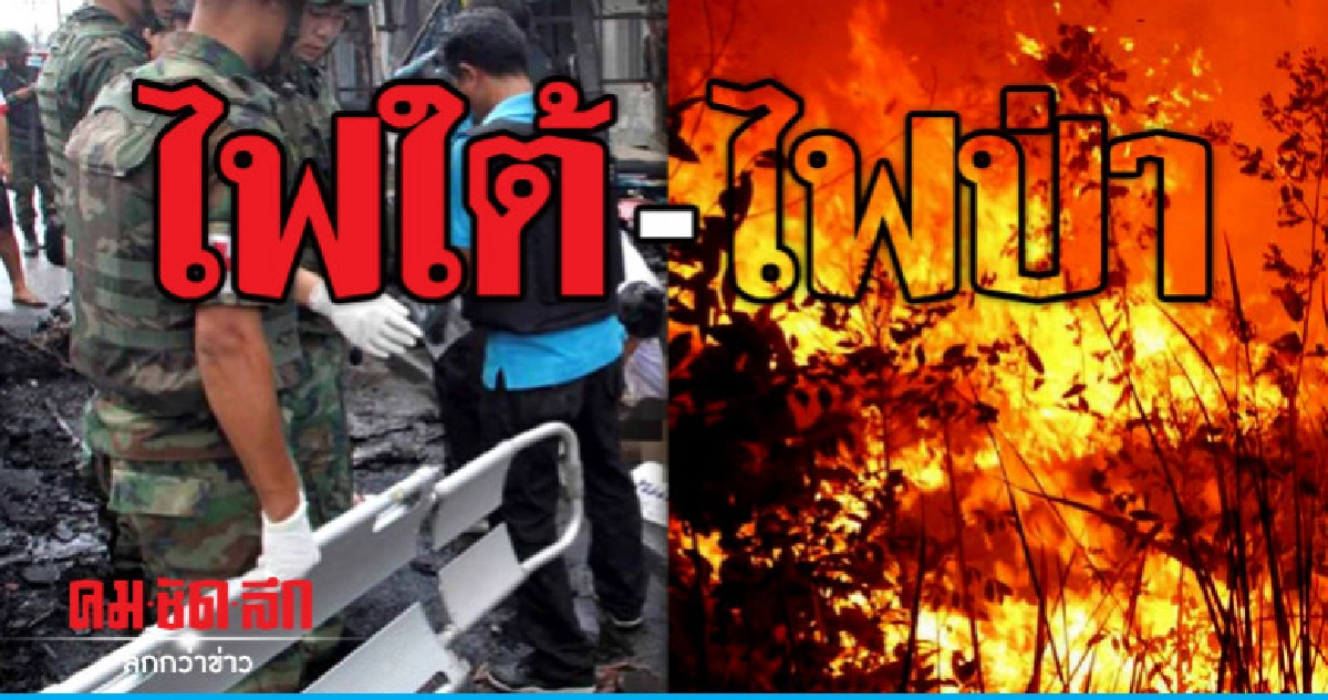 ไฟใต้ - ไฟป่า