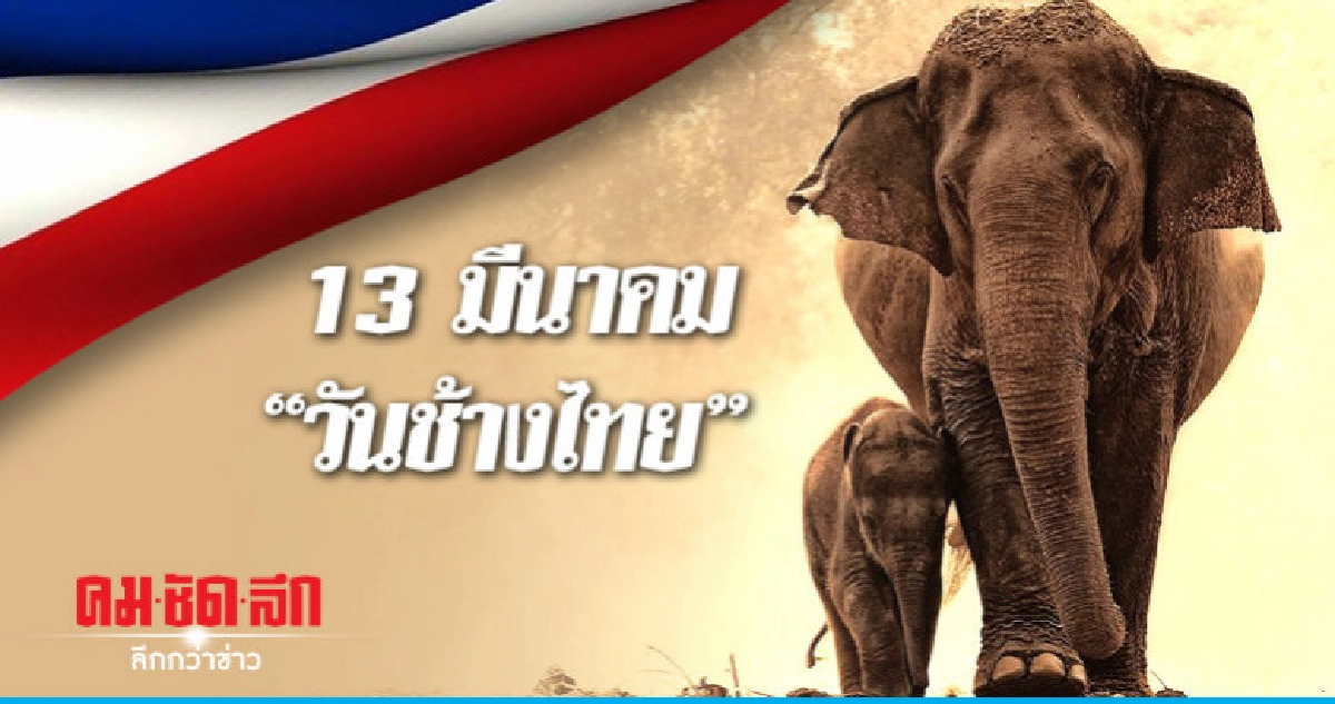 13 มีนาคม "วันช้างไทย" 13 มีนาคม "วันช้างไทย"