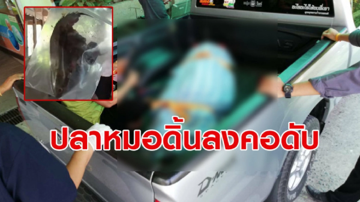 อุทาหรณ์ ชายจับปลาหมอเอาปากคาบ แต่ปลาดิ้นลงคออุดหลอดลมดับ อุทาหรณ์ ชายจับปลาหมอเอาปากคาบ แต่ปลาดิ้นลงคออุดหลอดลมดับ