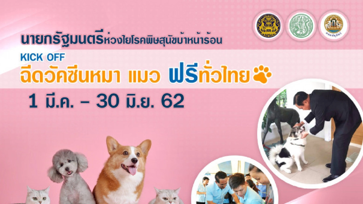 เกษตรฯ คิกออฟฉีดวัคซีนสุนัขและแมวฟรีทั่วไทย 