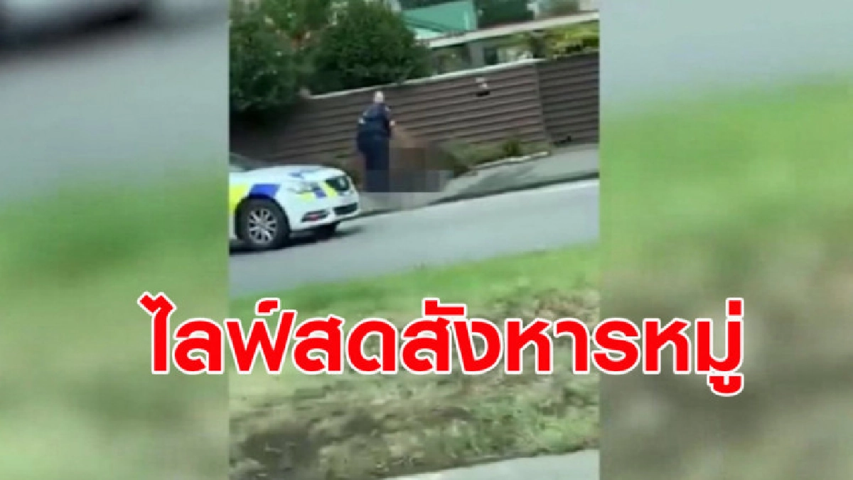 (คลิปข่าว) มือปืนไลฟ์สด ขณะลงมือสังหารหมู่ในนิวซีแลนด์ (คลิปข่าว) มือปืนไลฟ์สด ขณะลงมือสังหารหมู่ในนิวซีแลนด์