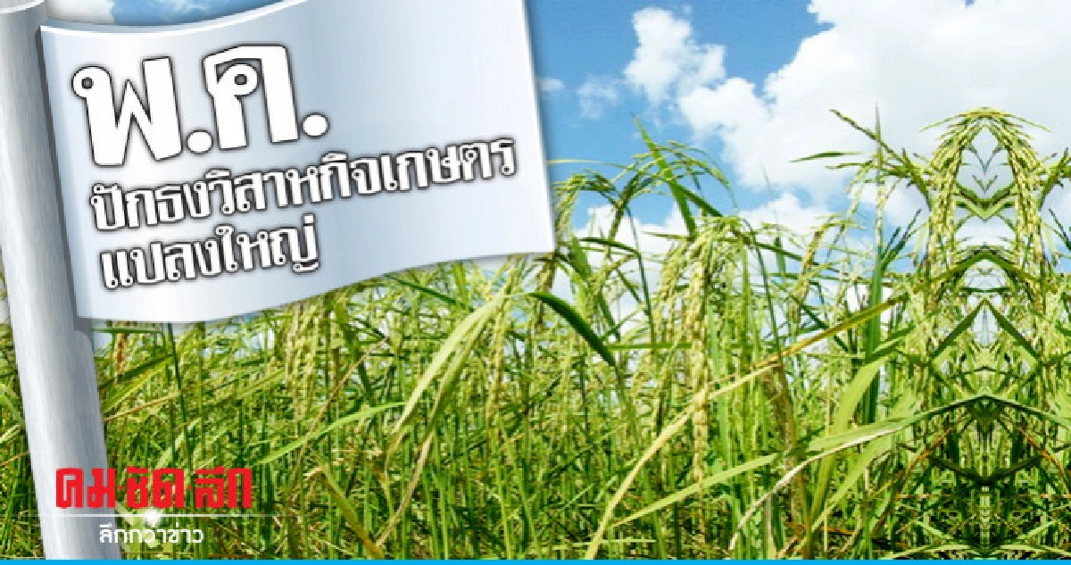 "กฤษฏา"ปักธงวิสาหกิจเกษตรแปลงใหญ่พ.ค. "กฤษฏา"ปักธงวิสาหกิจเกษตรแปลงใหญ่พ.ค.