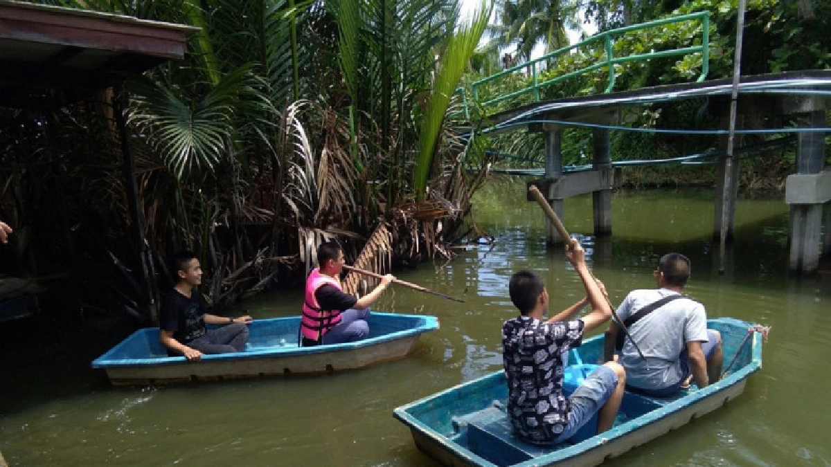พายเรือชมสวน"กัมปงในดงปรือ" พายเรือชมสวน"กัมปงในดงปรือ"