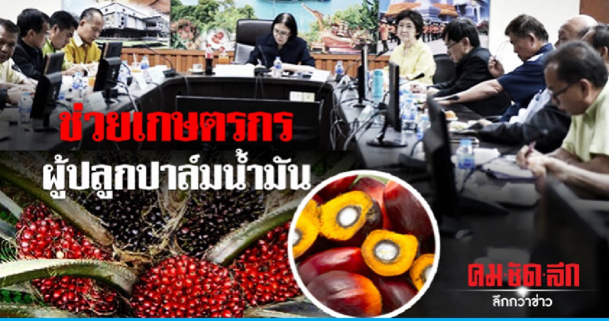 พาณิชย์ เร่งขับเคลื่อนช่วยเกษตรกรผู้ปลูกปาล์มน้ำมัน