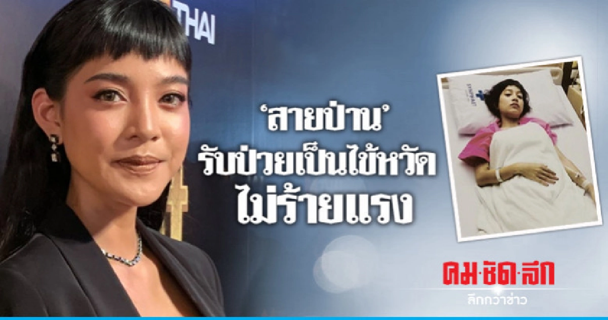 'สายป่าน' รับเป็นไข้หวัดไม่รุนแรง 'สายป่าน' รับเป็นไข้หวัดไม่รุนแรง