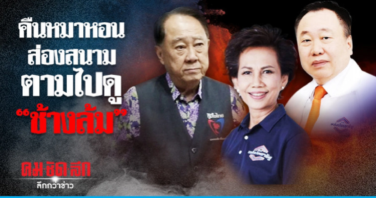 คืนหมาหอน ส่องสนามตามไปดู "ช้างล้ม" คืนหมาหอน ส่องสนามตามไปดู "ช้างล้ม"