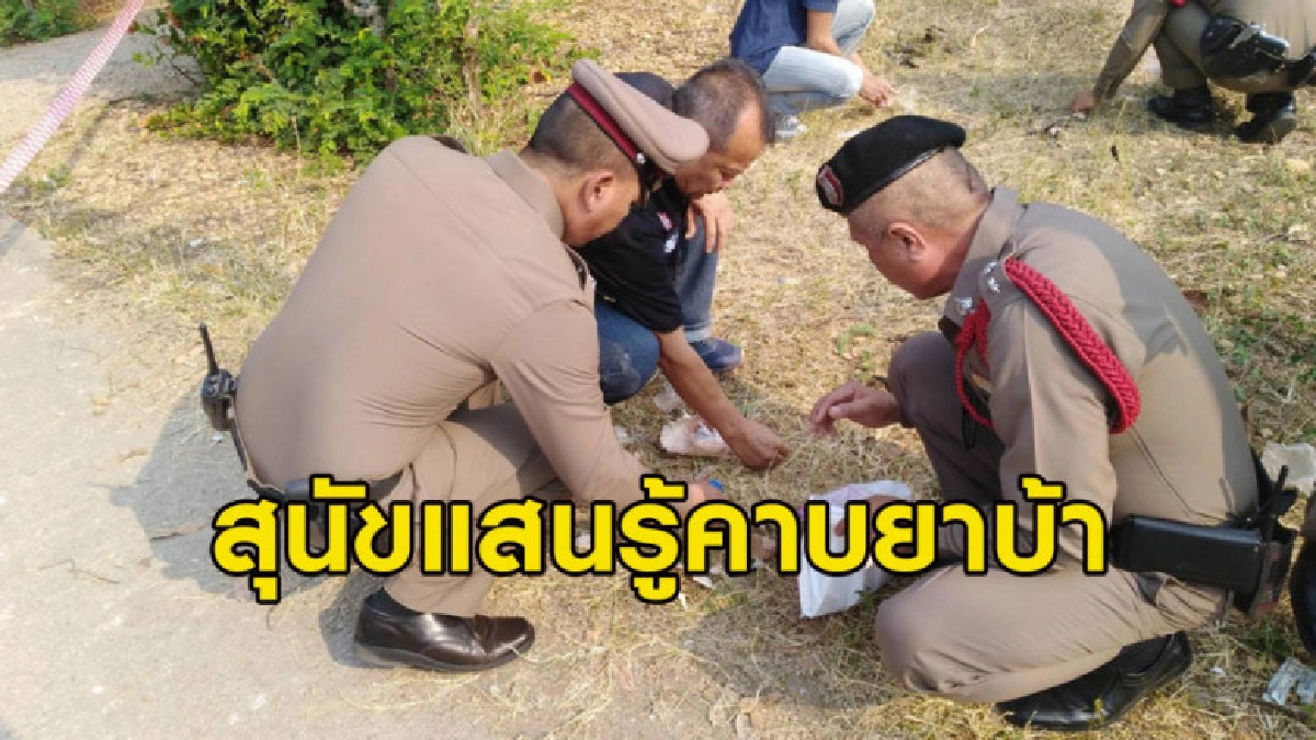 ตูบแสนรู้ คาบยาบ้าหลายพันเม็ดทิ้งในหมู่บ้าน ตูบแสนรู้ คาบยาบ้าหลายพันเม็ดทิ้งในหมู่บ้าน