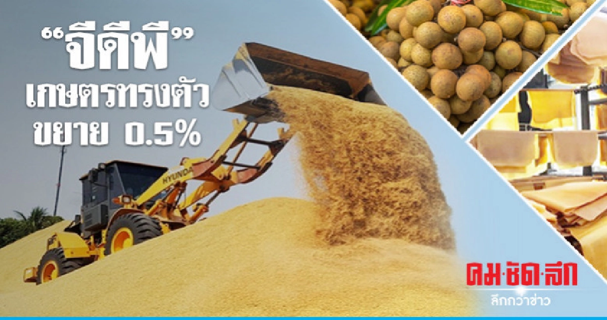 "จีดีพี"เกษตรทรงตัวขยาย 0.5% "จีดีพี"เกษตรทรงตัวขยาย 0.5%