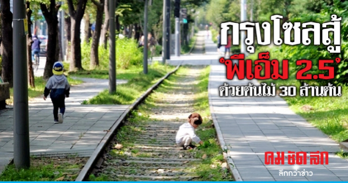 โซลเล็งเพิ่มต้นไม้ 30 ล้านต้นภายใน 3 ปีลดฝุ่นจิ๋ว-ความร้อน โซลเล็งเพิ่มต้นไม้ 30 ล้านต้นภายใน 3 ปีลดฝุ่นจิ๋ว-ความร้อน