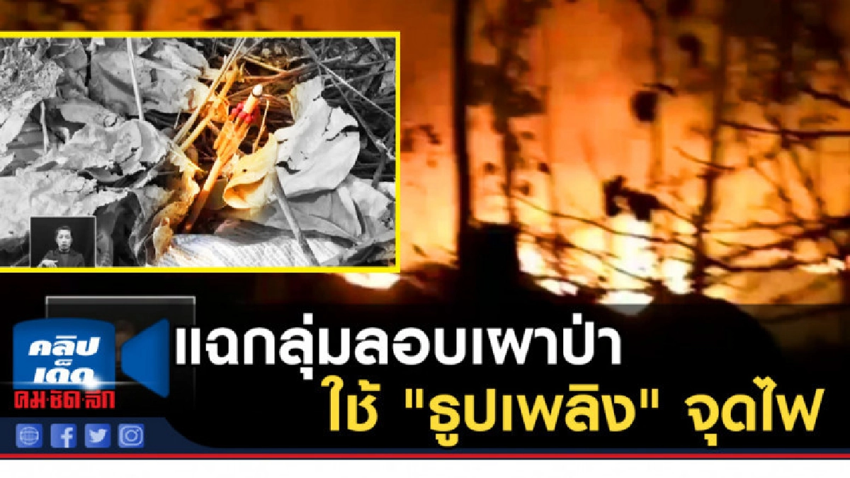 (คลิปข่าว) แฉกลุ่มลอบเผาป่าใช้ "ธูปเพลิง" จุดไฟ (คลิปข่าว) แฉกลุ่มลอบเผาป่าใช้ "ธูปเพลิง" จุดไฟ