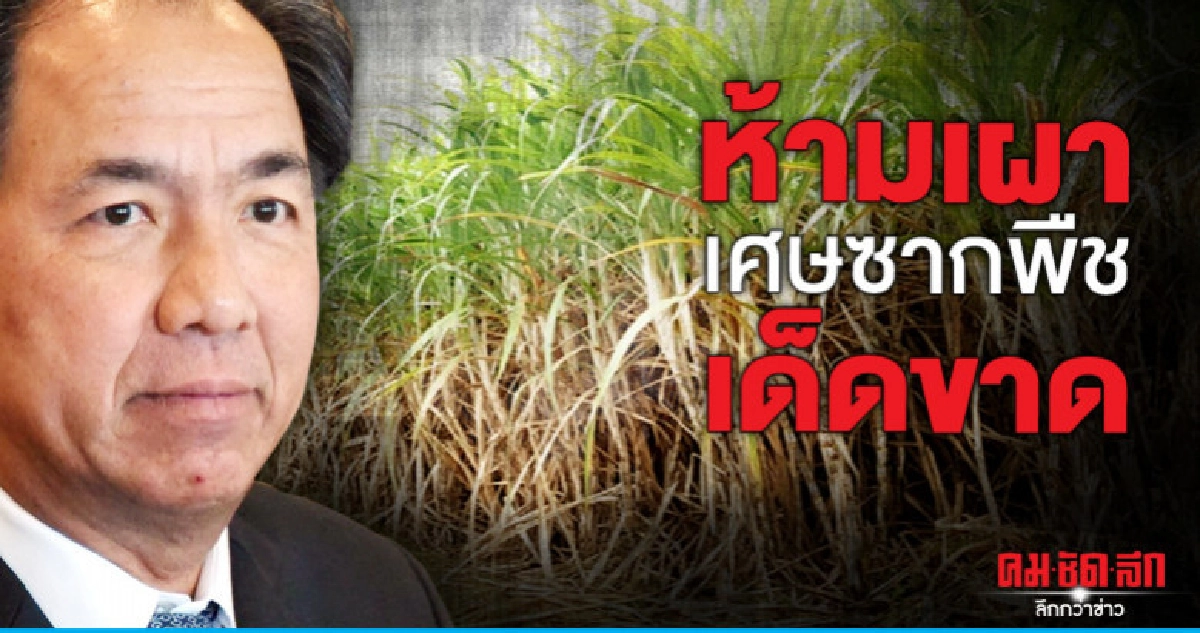 เปิดปฎิบัติการหยุดหมอกควัน-หยุดเผาเศษซากพืชเด็ดขาด เปิดปฎิบัติการหยุดหมอกควัน-หยุดเผาเศษซากพืชเด็ดขาด