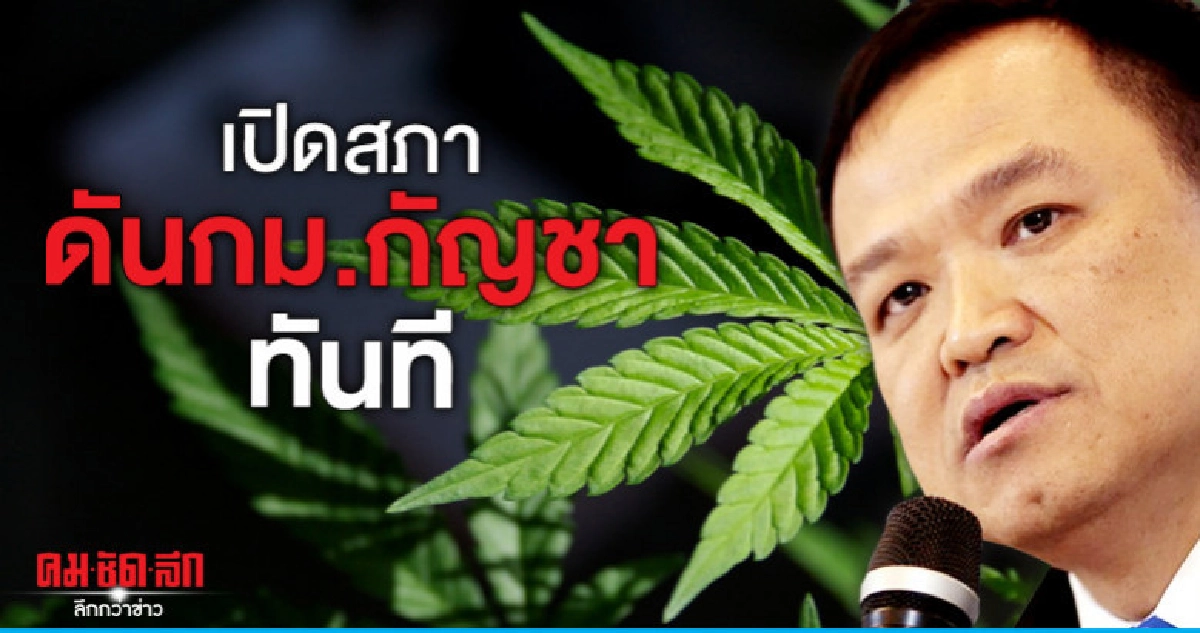 "อนุทิน"ลั่นเปิดสภาดันกม.กัญชาพิจารณาทันที "อนุทิน"ลั่นเปิดสภาดันกม.กัญชาพิจารณาทันที