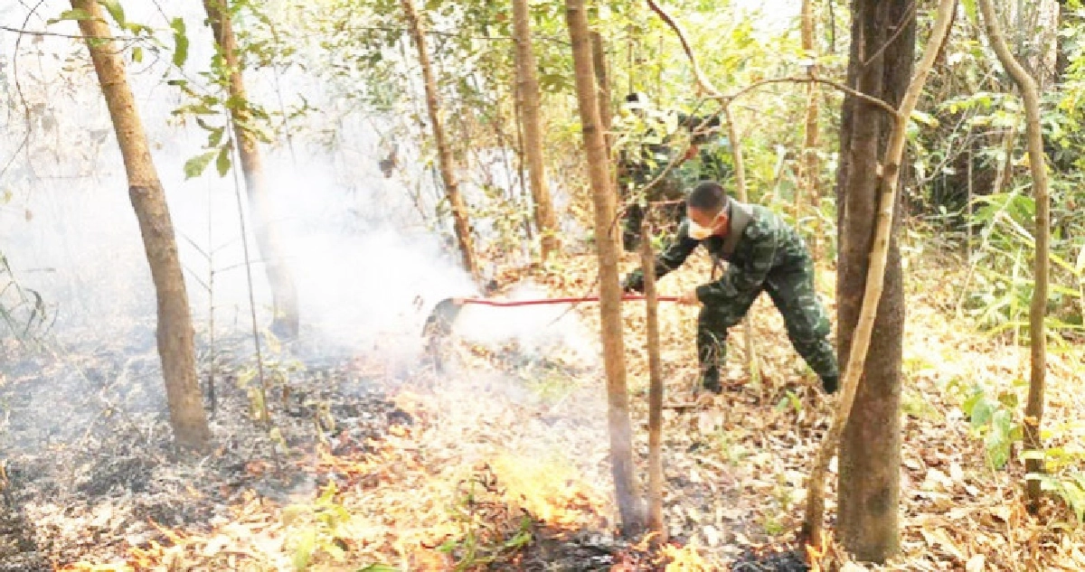 ทหารเชียงรายปฏิบัติการดับไฟป่าต่อเนื่อง 3 วันแล้ว ทหารเชียงรายปฏิบัติการดับไฟป่าต่อเนื่อง 3 วันแล้ว