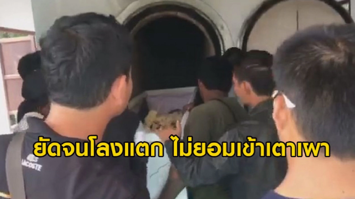 เฮี้ยน ศพวัยรุ่นถูกลูกหลงไม่ยอมให้เผายัดเตา 3 รอบไม่เข้า เฮี้ยน ศพวัยรุ่นถูกลูกหลงไม่ยอมให้เผายัดเตา 3 รอบไม่เข้า