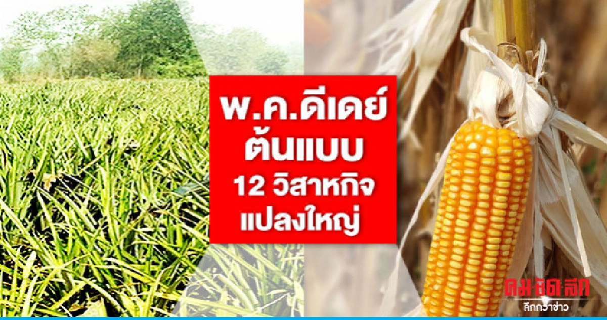 "กฤษฎา"ดีเดย์ต้นแบบ 12 วิสาหกิจแปลงใหญ่ พ.ค. "กฤษฎา"ดีเดย์ต้นแบบ 12 วิสาหกิจแปลงใหญ่ พ.ค.