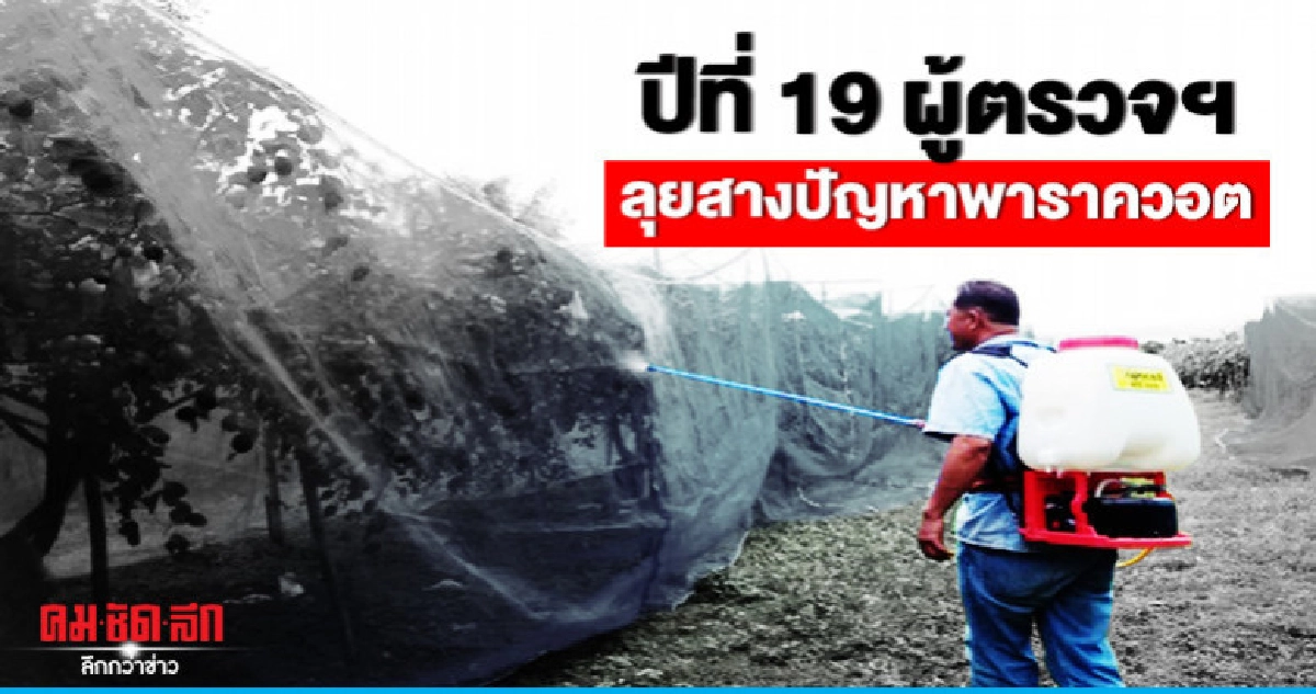 ปีที่ 19 ผู้ตรวจฯลุยสางปัญหาพาราควอต ปีที่ 19 ผู้ตรวจฯลุยสางปัญหาพาราควอต