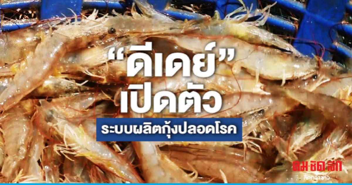 "กรมประมง"ดีเดย์เปิดตัวระบบผลิตกุ้งปลอดโรค "กรมประมง"ดีเดย์เปิดตัวระบบผลิตกุ้งปลอดโรค