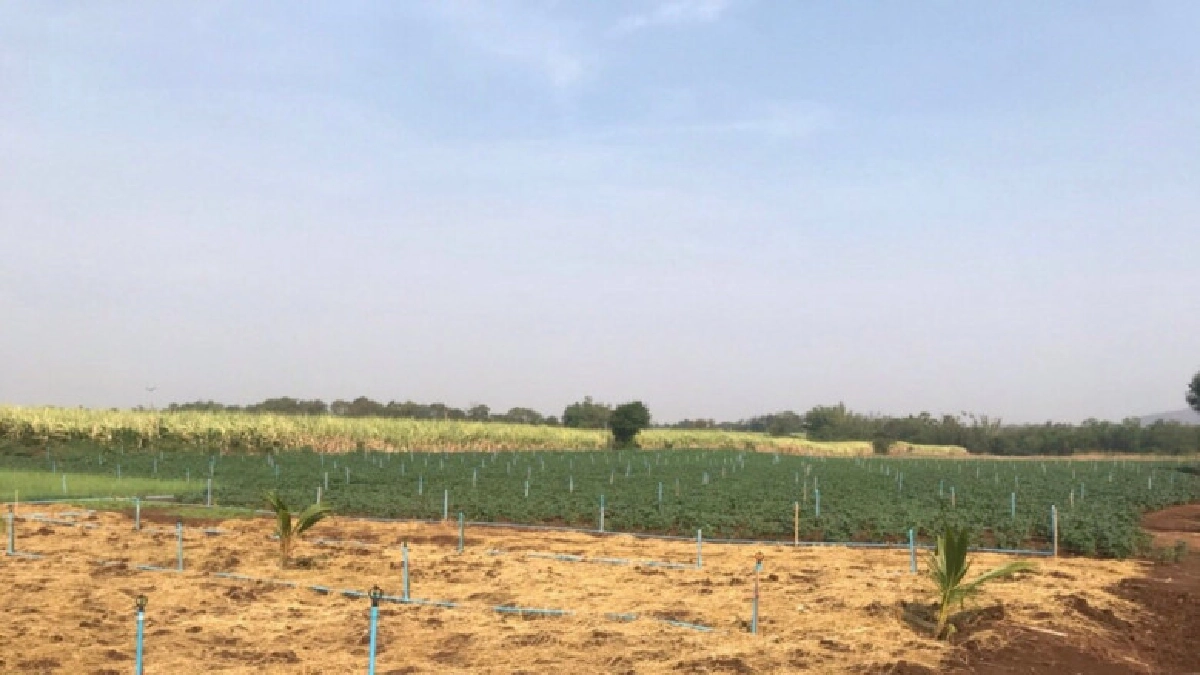 จัดสรรเงินกู้กพส.ดอกเบี้ยต่ำ500 ล.ช่วยสมาชิกสหกรณ์จากภัยแล้ง