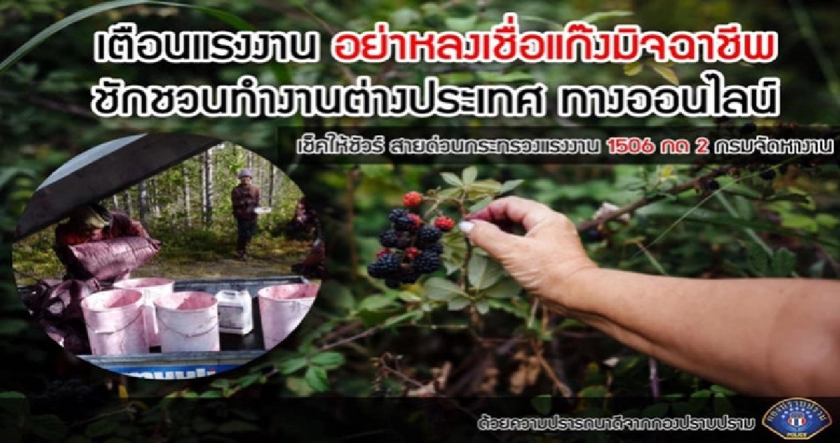 ป. เตือนภัย หลอกไปทำงานต่างประเทศ ป. เตือนภัย หลอกไปทำงานต่างประเทศ