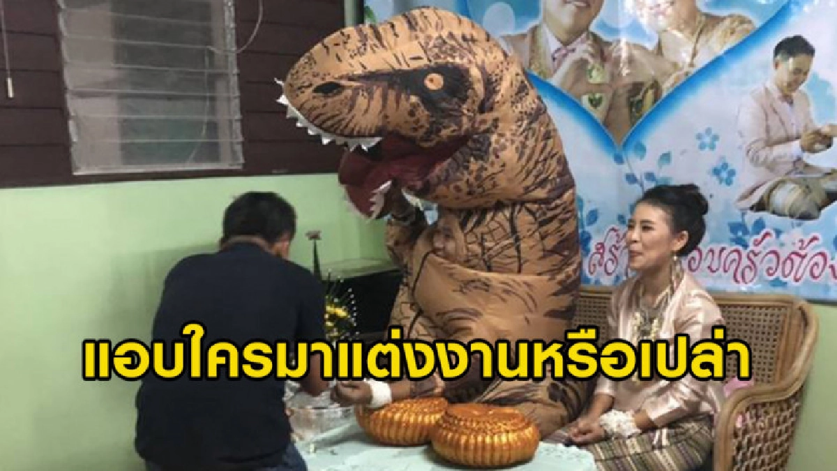 มิติใหม่ ชาวเน็ตแห่แซวเจ้าบ่าวใส่ชุดไดโนเสาร์รดน้ำสังข์ มิติใหม่ ชาวเน็ตแห่แซวเจ้าบ่าวใส่ชุดไดโนเสาร์รดน้ำสังข์