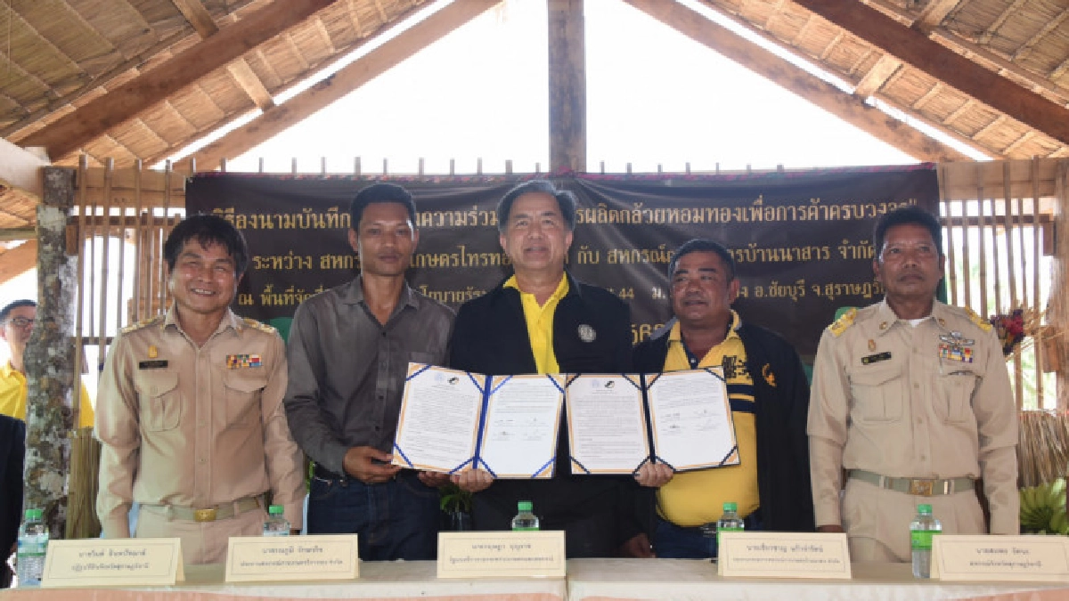 "กฤษฎา" ชูต้นแบบนำร่องวิสาหกิจแปลงใหญ่ประสบผลสำเร็จ