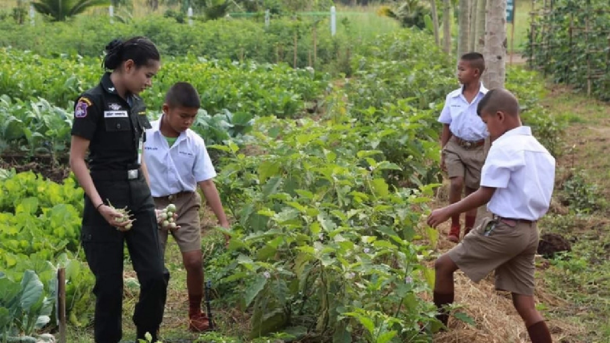 ขยายผลเกษตรเพื่ออาหารกลางวันจากโรงเรียนสู่ชุมชน