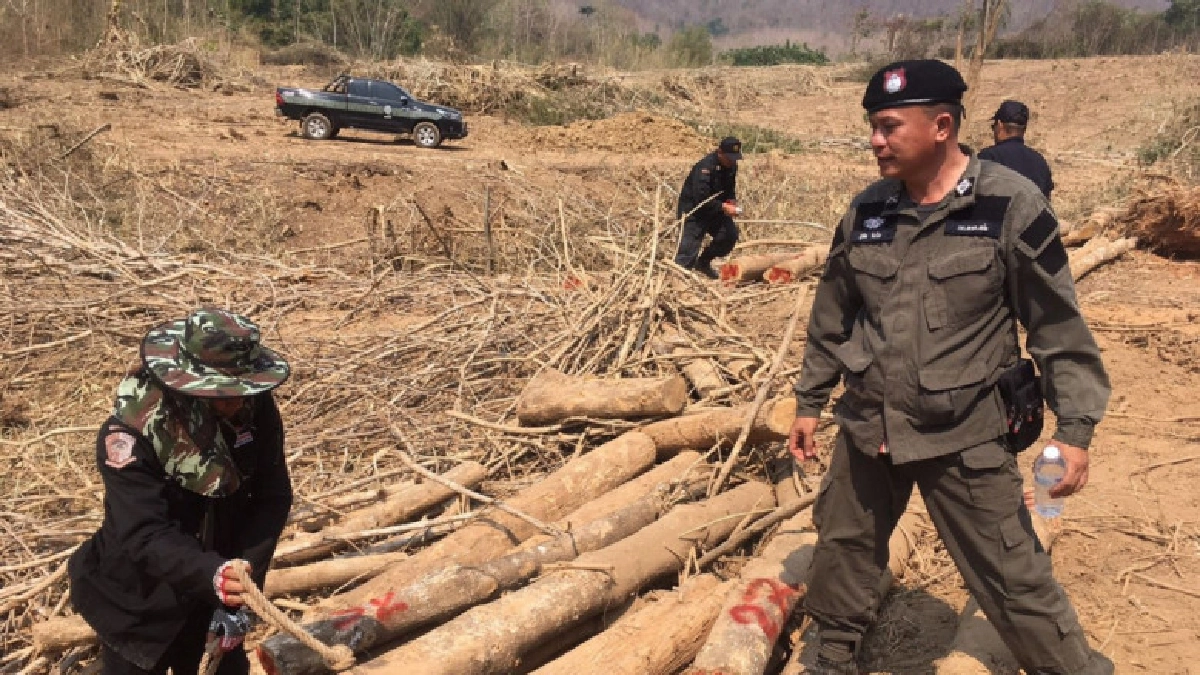 ชป.แจงพบไม้สักถูกตัดในพื้นที่ก่อสร้างอ่างเก็บน้ำแม่แคมฯ