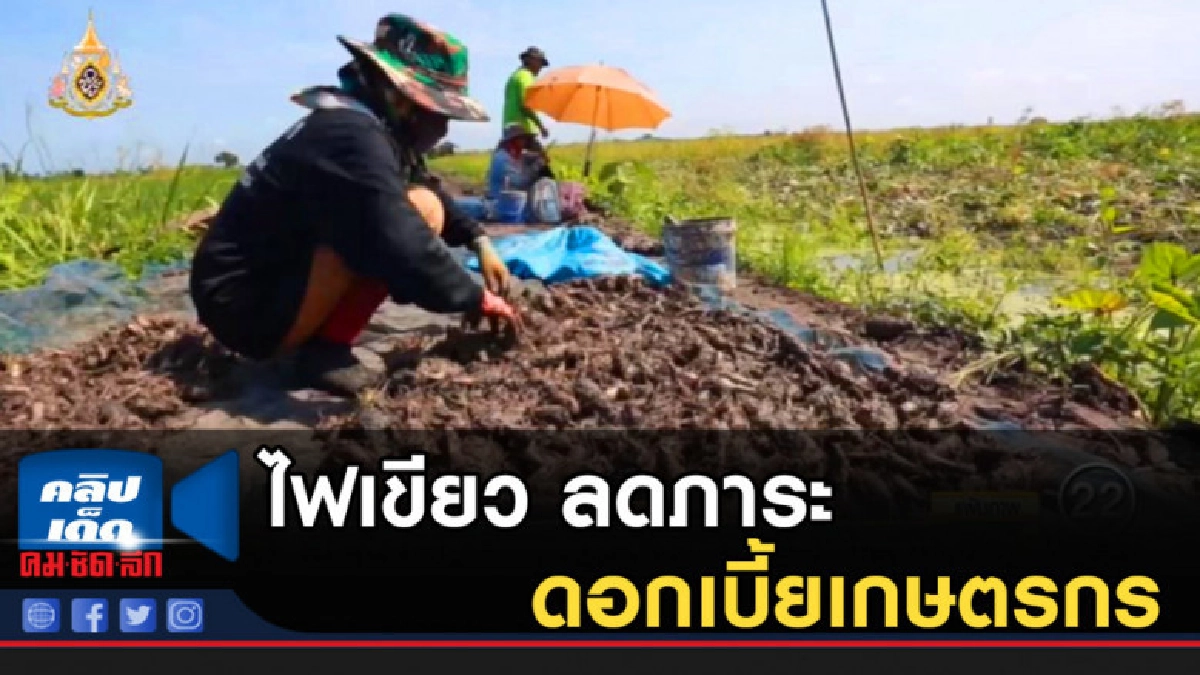 ครม.ไฟเขียว 1.2 พันล้าน ลดภาระดอกเบี้ยเกษตรกร ครม.ไฟเขียว 1.2 พันล้าน ลดภาระดอกเบี้ยเกษตรกร