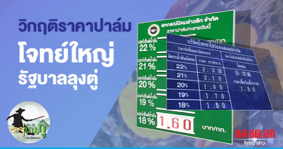 วิกฤติราคาปาล์ม โจทย์ใหญ่รัฐบาลลุงตู่ วิกฤติราคาปาล์ม โจทย์ใหญ่รัฐบาลลุงตู่