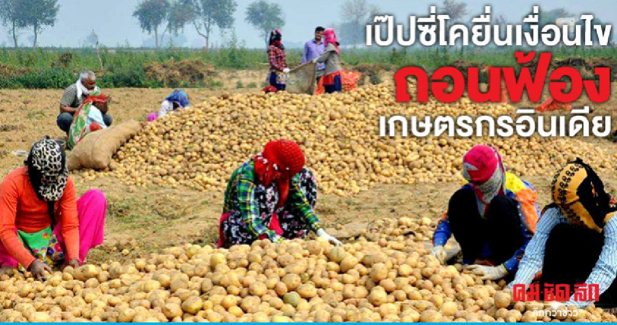"เป๊ปซี่โค"ยื่นข้อเสนอถอนฟ้องเกษตรกรอินเดียปลูกมันฝรั่งเลย์ "เป๊ปซี่โค"ยื่นข้อเสนอถอนฟ้องเกษตรกรอินเดียปลูกมันฝรั่งเลย์